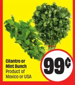 FreshCo Cilantro or Mint Bunch Product of Mexico or USA offer
