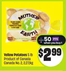 FreshCo Yellow Potatoes 5 lb Product of Canada Canada No. 2, 2.27/kg offer
