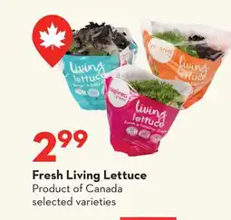 Longo's Fresh Living Lettuce offer