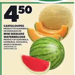 Loblaws CANTALOUPES, MINI SEEDLESS WATERMELONS offer