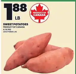 Loblaws SWEET POTATOES offer