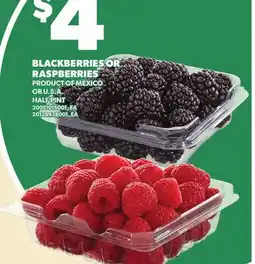 Loblaws BLACKBERRIES OR RASPBERRIES, HALF PINT offer