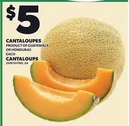 Independent Grocer CANTALOUPES, EACH offer