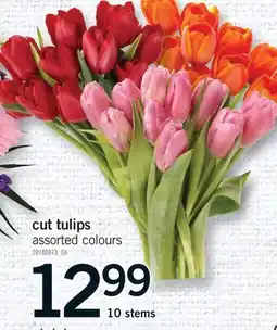 Fortinos CUT TULIPS, 10 stems offer