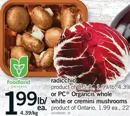 Fortinos RADICCHIO OR OR PC ORGANCIS WHOLE WHITE OR CREMINI MUSHROOMS offer