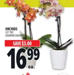 Metro ORCHIDS offer