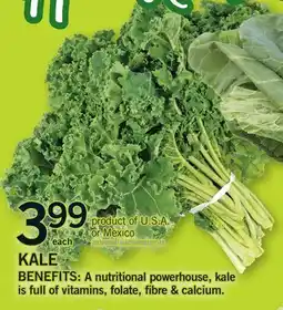 Fortinos KALE offer