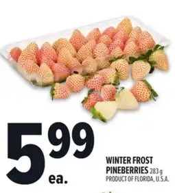 Metro WINTER FROST PINEBERRIES offer
