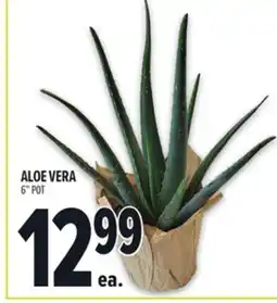 Metro ALOE VERA offer