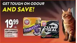 Metro ARM & HAMMER CLUMPING LITTER offer