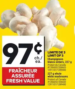 Giant Tiger White mushrooms offer