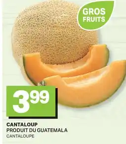 L'Intermarché CANTALOUP | CANTALOUPE offer