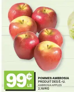 L'Intermarché POMMES AMBROSIA | AMBROSIA APPLES offer