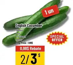 Mayrand English Cucumber offer