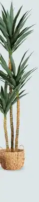 Canac Artificial Yucca Plant with Black Plastic Pot 70 7/8 in offer