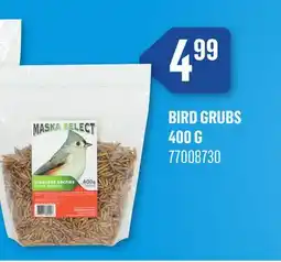 Canac Bird Grubs offer