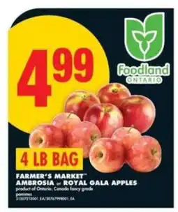 No Frills Farmer's Market Ambrosia or Royal Gala Apples offer