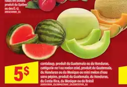 Maxi Cantaloup, Melon Miel, Mini Melon d'Eau offer