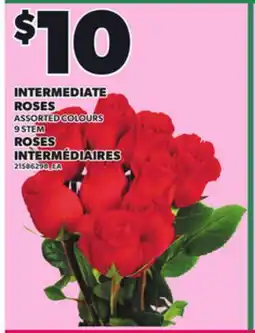 Independent City Market INTERMEDIATE ROSES, 9 STEM offer