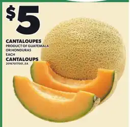 Independent City Market CANTALOUPES offer