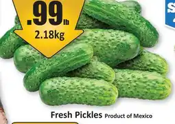 Starsky Fresh Pickles offer
