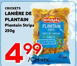 Marche Salaberry CRICKETS LANIÈRE DE PLANTAIN offer