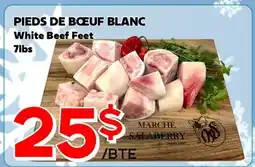 Marche Salaberry PIEDS DE BŒUF BLANC offer