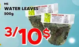 Marche Salaberry WATER LEAVES MS offer