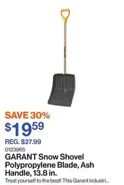 Patrick Morin Snow Shovel Polypropylene Blade, Ash Handle, 13.8 in offer