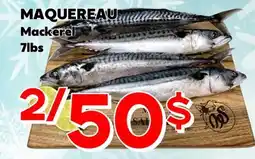 Marche Salaberry MAQUEREAU offer