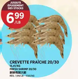 Kim Phat FRESH SHRIMP 20/30 offer