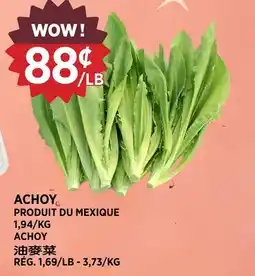 Kim Phat ACHOY offer