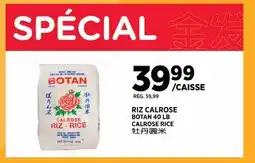Kim Phat BOTAN CALROSE RICE offer
