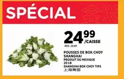 Kim Phat SHANGHAI BOK CHOY TIPS offer