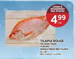 Kim Phat WHOLE FRESH RED TILAPIA offer