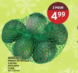 Kim Phat AVOCADOS offer