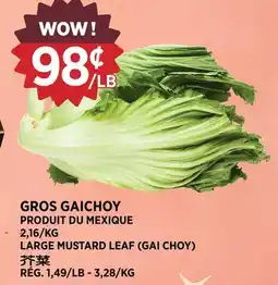 Kim Phat LARGE MUSTARD LEAF (GAI CHOY) offer