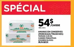 Kim Phat YAMADA CANNED PINEAPPLES (CHUNKS/SLICES) offer