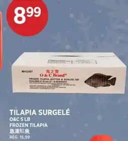 Kim Phat O&C FROZEN TILAPIA offer
