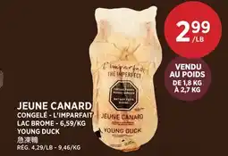 Kim Phat LAC BROME YOUNG DUCK offer