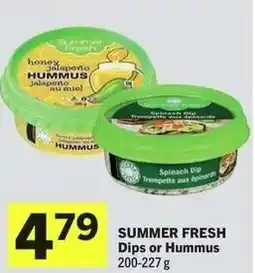 IGA Summer fresh dips or hummus offer