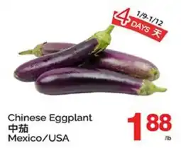 T&T Supermarket CHINESE EGGPLANT offer