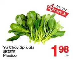 T&T Supermarket YU CHOY SPROUTS offer