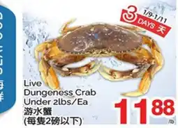 T&T Supermarket LIVE DUNGENESS CRAB offer