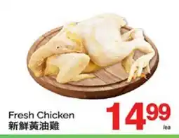 T&T Supermarket FRESH CHICKEN offer