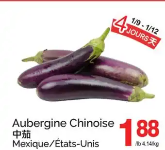 T&T Supermarket AUBERGINE CHINOISE offer