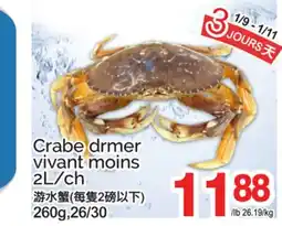 T&T Supermarket CRABE DRMER VIVANT MOINS, 2L/CH, 260H/26/30 offer