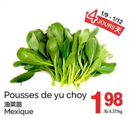 T&T Supermarket POUSSES DE YU CHOY offer