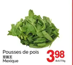 T&T Supermarket POUSSES DE POIS offer