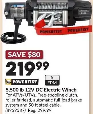 Princess Auto 5,500 lb 12V DC Electric Winch offer